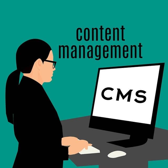 A Woman using CMS