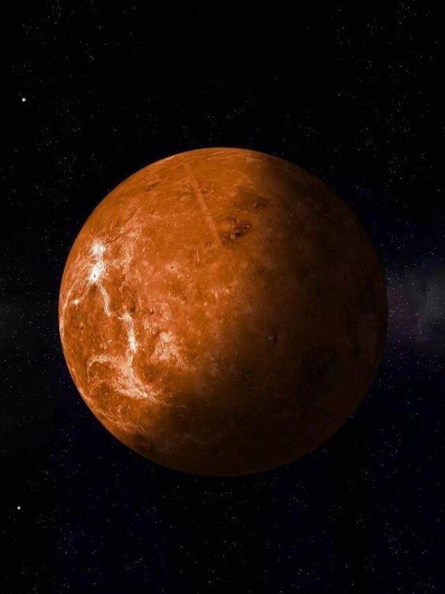 VENUS